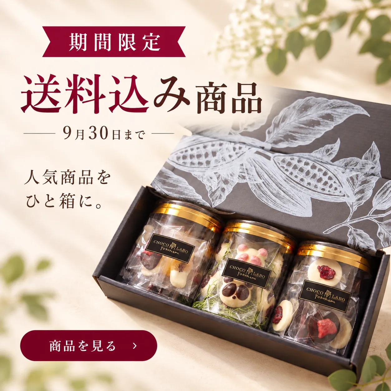 期間限定 送料込み商品
