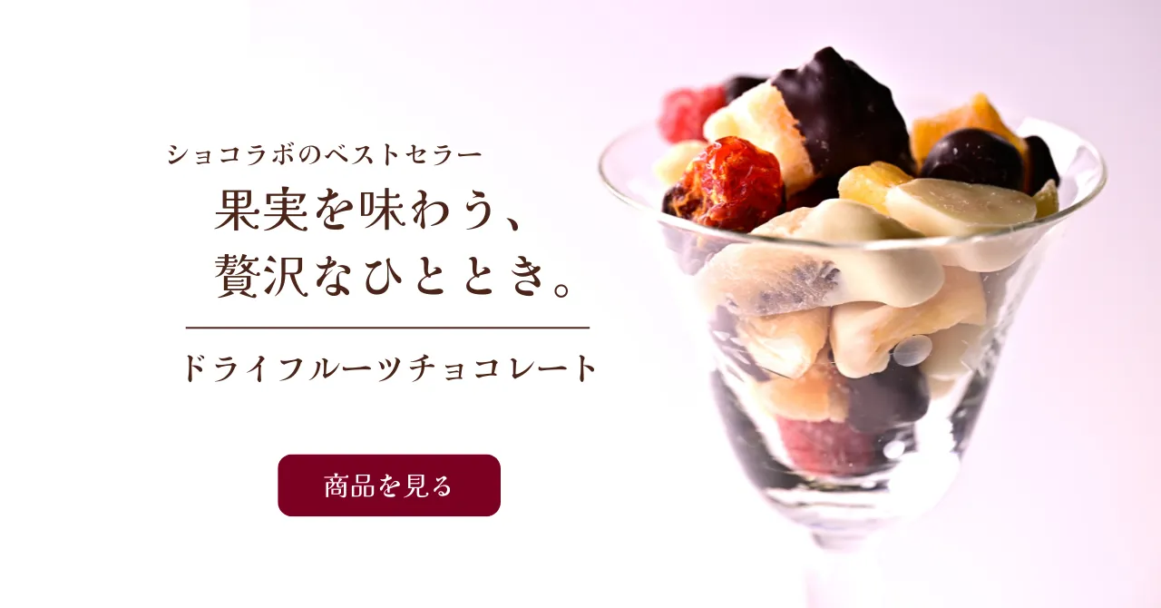 果実を味わう、贅沢なひととき。ドライフルーツチョコレート